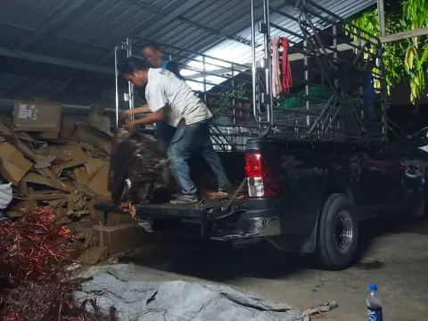 บริการรับซื้อของเก่าปทุมธานี (ภาพที่ 45)